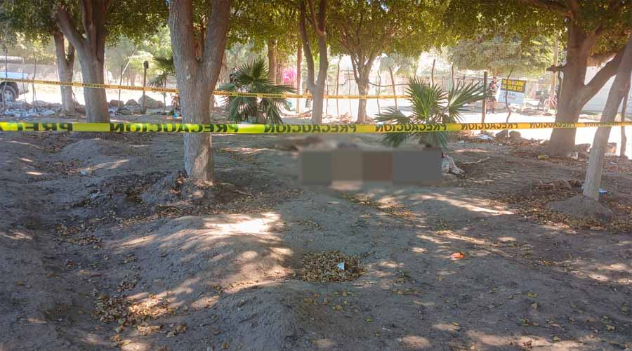 Localizan a joven sin vida en Guasave