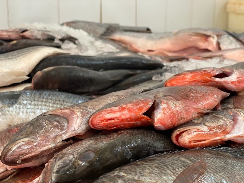 Venta de marisco en Guasave.