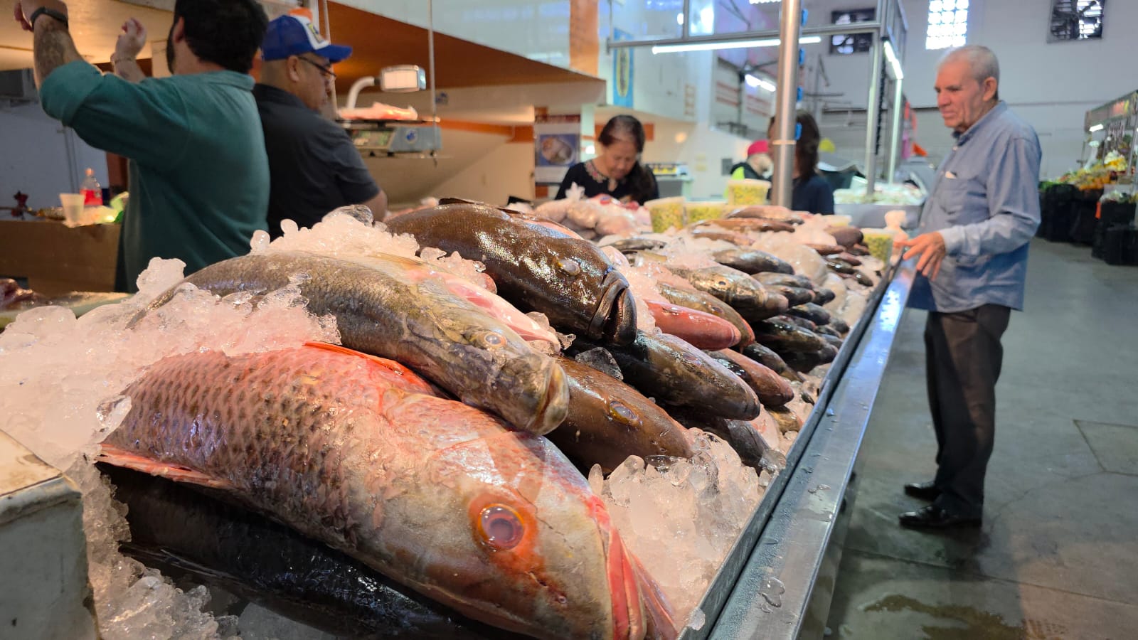 Puesto de mariscos en el mercado