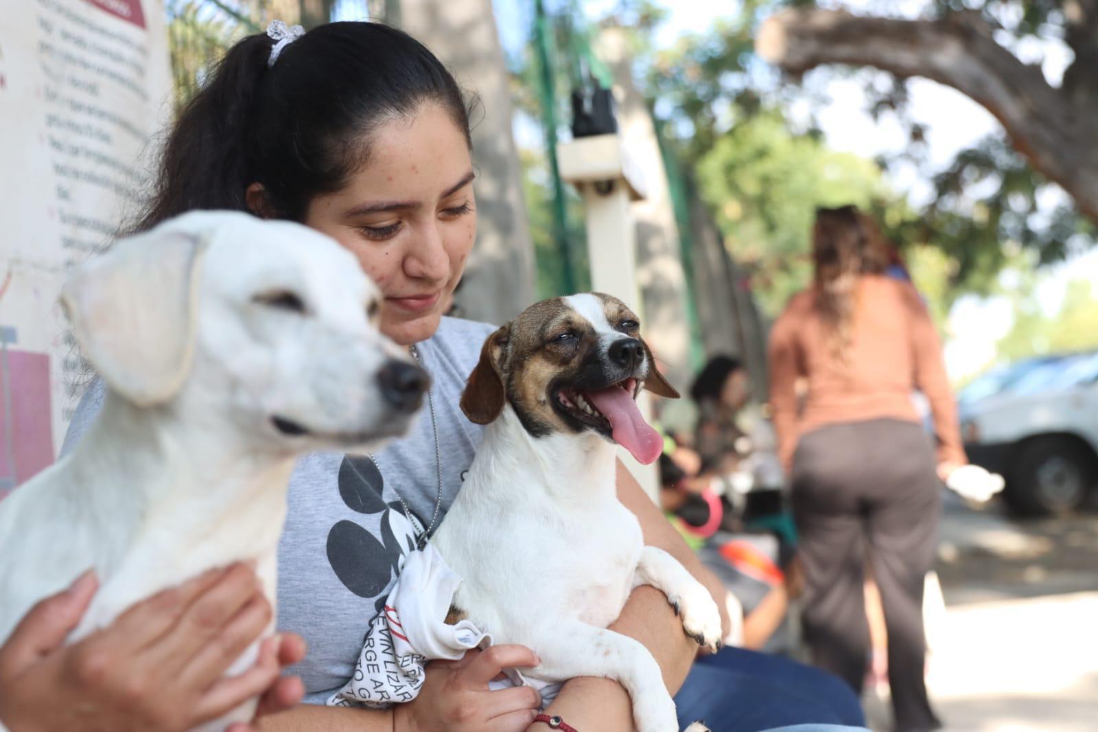 mujer con dos perros