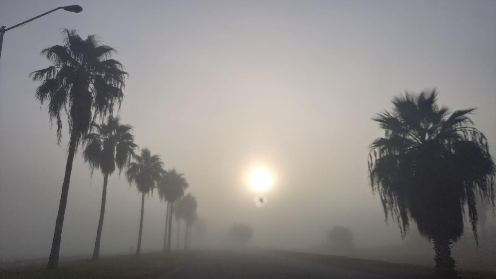 Neblina en tramo vial de Ahome