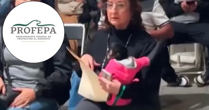 Profepa presenta denuncia penal tras caso de mono araña en manos de regidora de Ocotlán, Jalisco