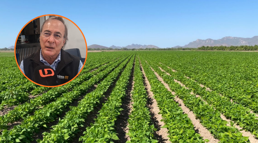 En grande un campo de siembra y en circulo Juan Pablo Castañón Castañón