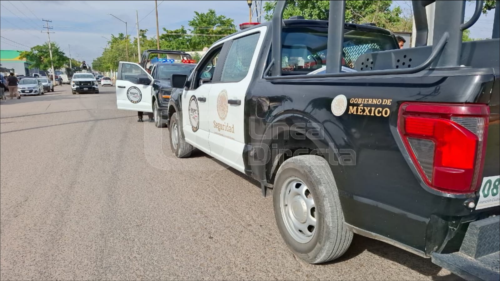 Cuatro detenidos y vehículos robados asegurados