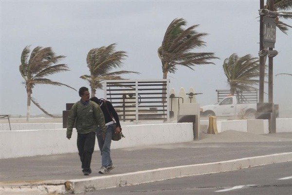Personas caminando y al fondo palmas con las hojas hacia un lado por el fuerte viento