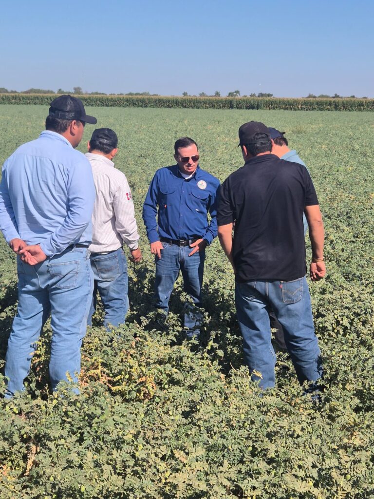 personas dentro de campo de cultivo hablando entre ellos dando la espalda