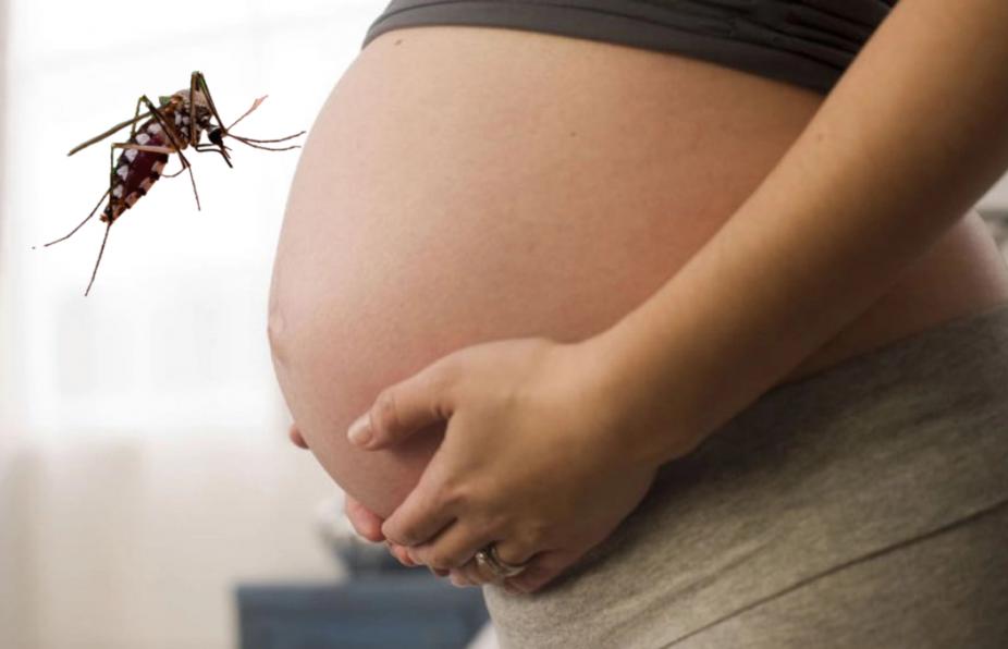 Dengue en embarazadas