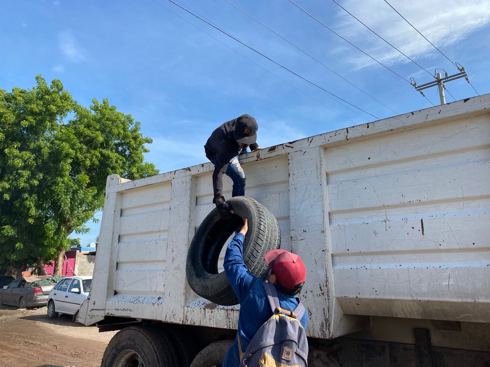 Fumigación dengue