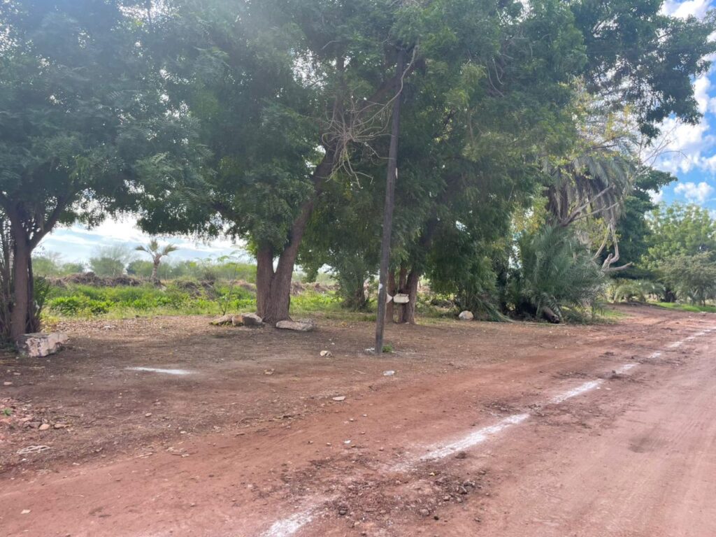 Esta es la franja de terreno que donde se pintó con cal en el ejido 9 de Diciembre.