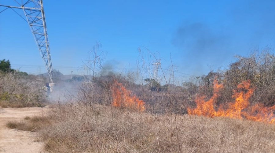 Incendio sobre un lote baldío