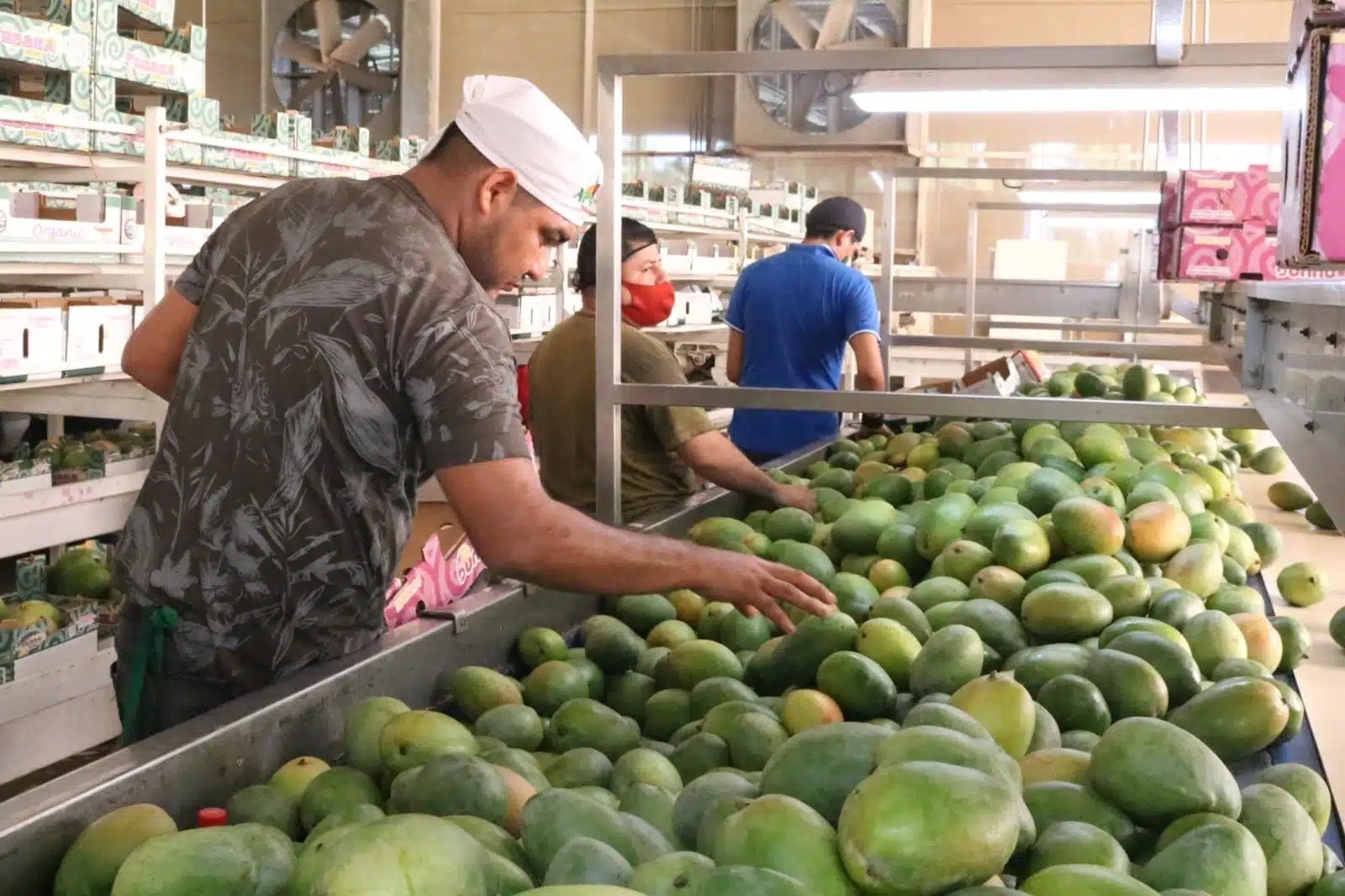 Personas tocando mangos en una banda