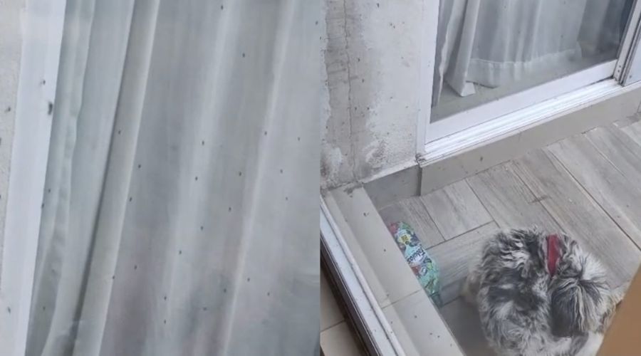 Imagen de rincones de una casa con mosquitos