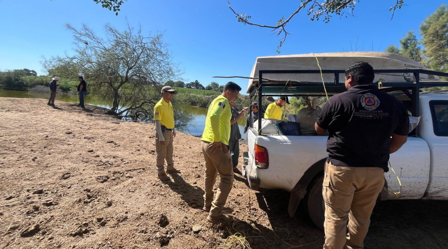 Protección Civil de Guasave despliega operativo para capturar al cocodrilo en la laguna de Carricitos