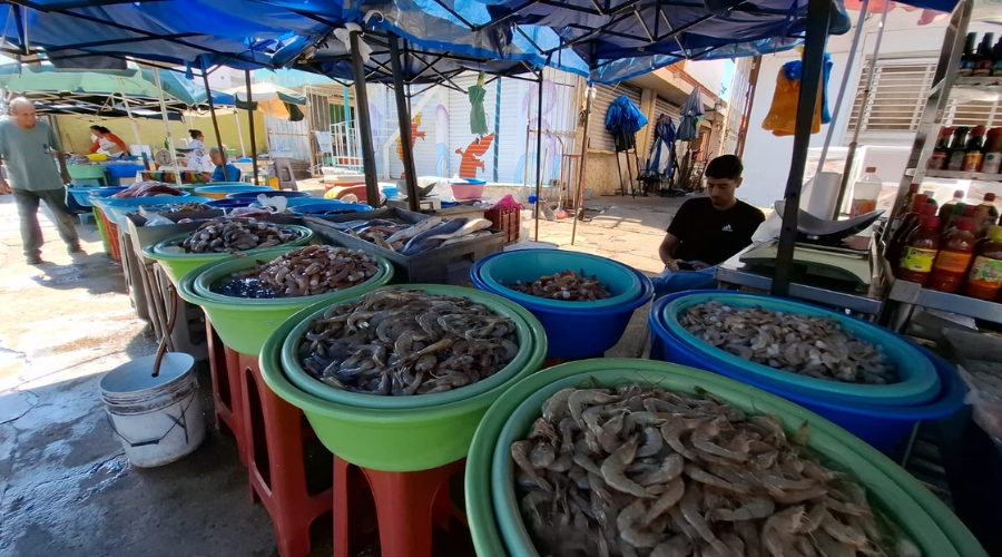 Puesto de pescados y mariscos