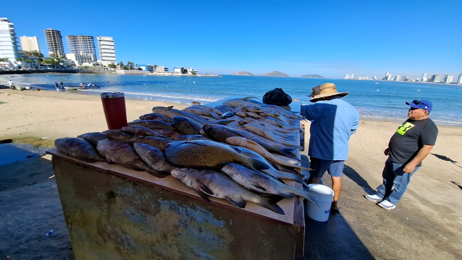 pescados enteros exhibidos sobre una mesa a la orilla de la playa