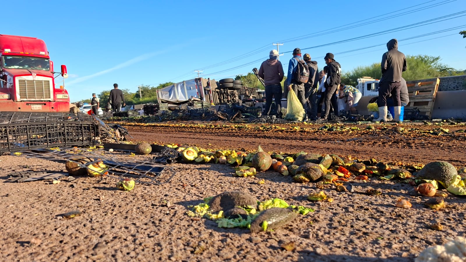 Aguacates tirados por una carretera con personas recogiendo cajas con aguacates