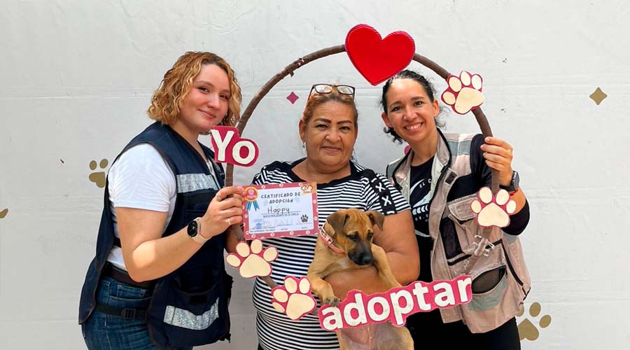 Ciudadana mazatleca adopta a un perrito en Mazatlán