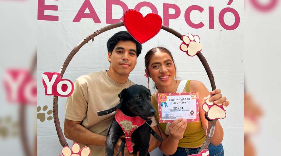 Jóvenes adoptan una mascota en Mazatlán