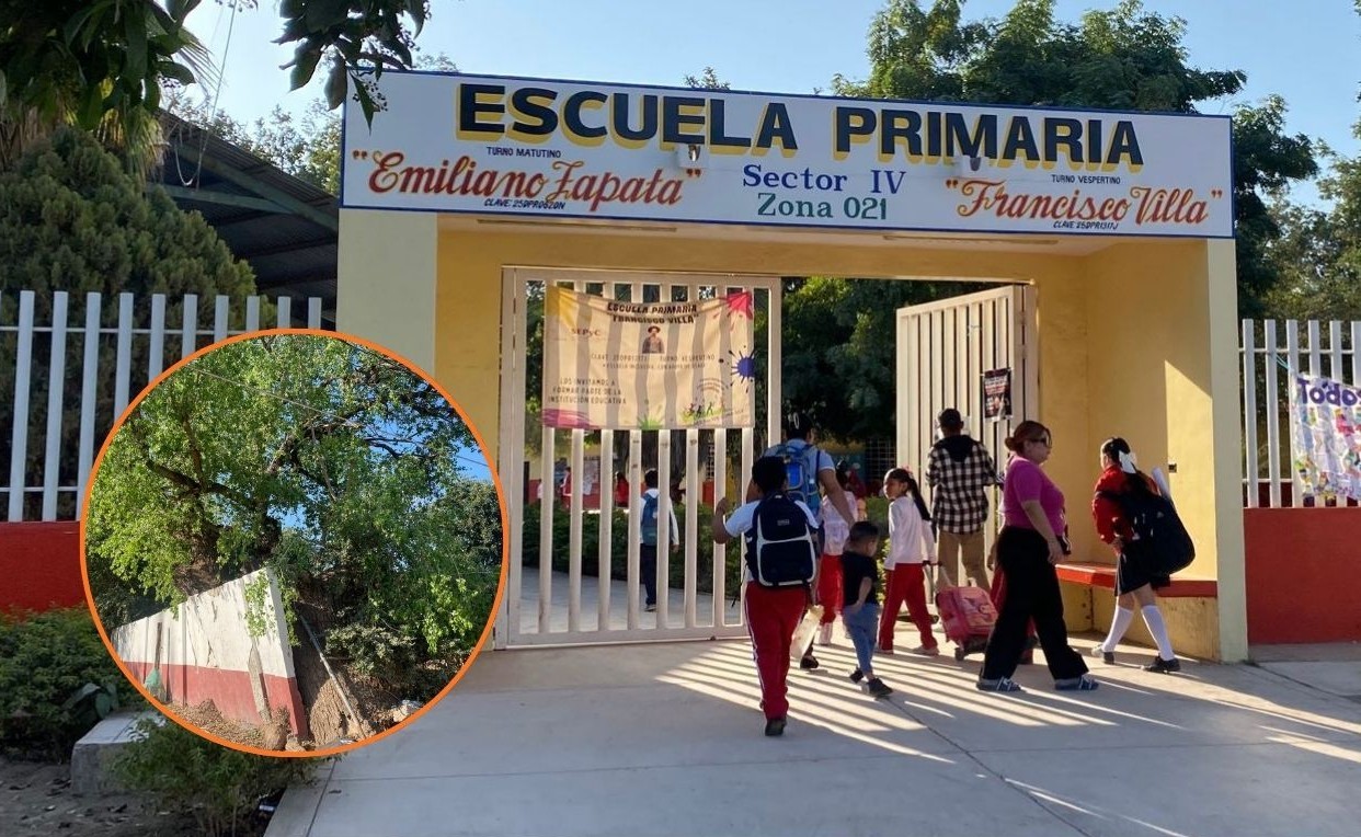 Escuela Primaria