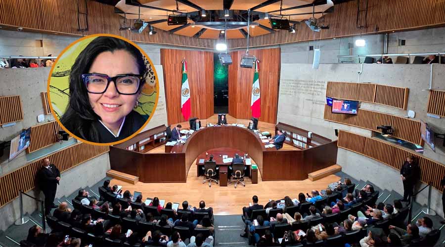 Sala superior del TEPFJ y la diputada Almendra Negrete