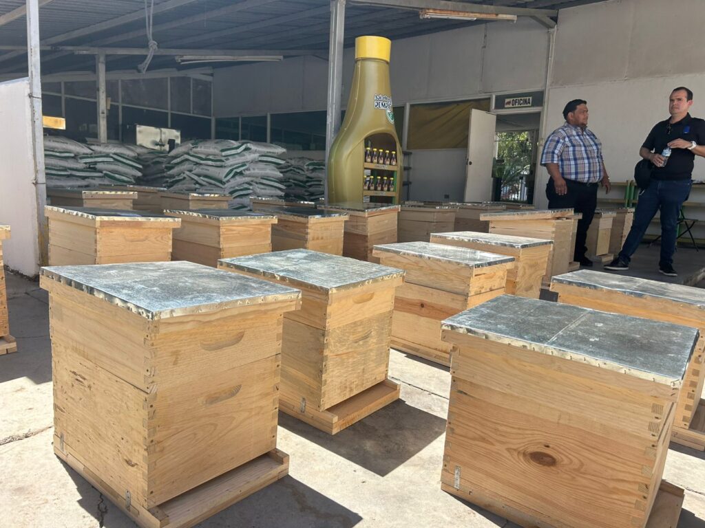 Caja de apicultura