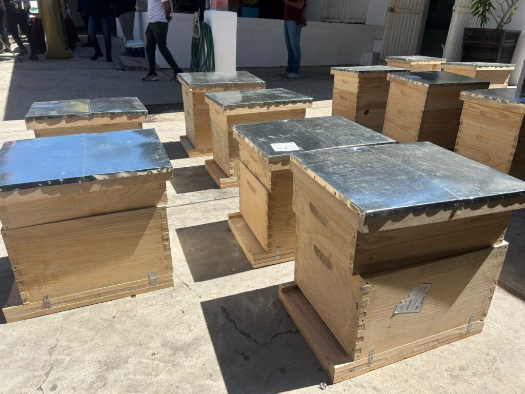 Cajas de apicultura