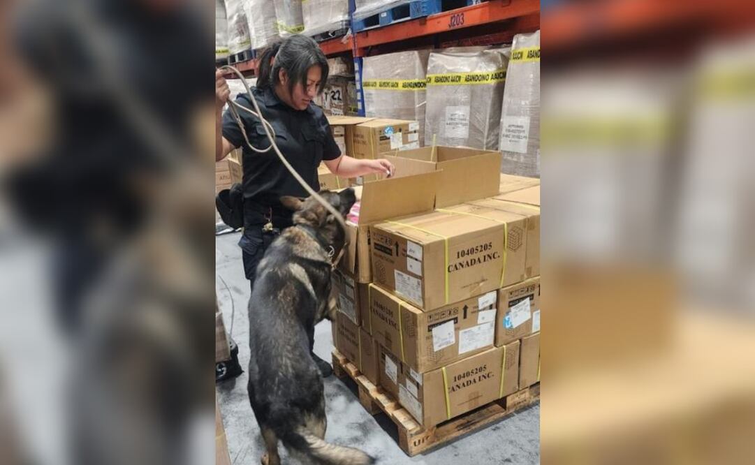 Autoridades aseguran más de 22 mil vapeadores durante operativo de revisión en el AICM