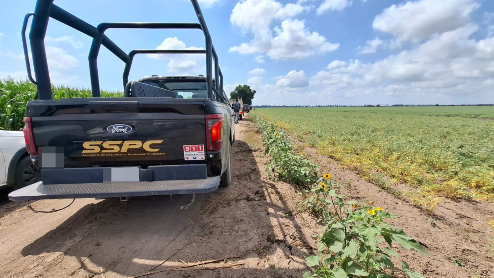 Unidad de seguridad junto a campo de maíz
