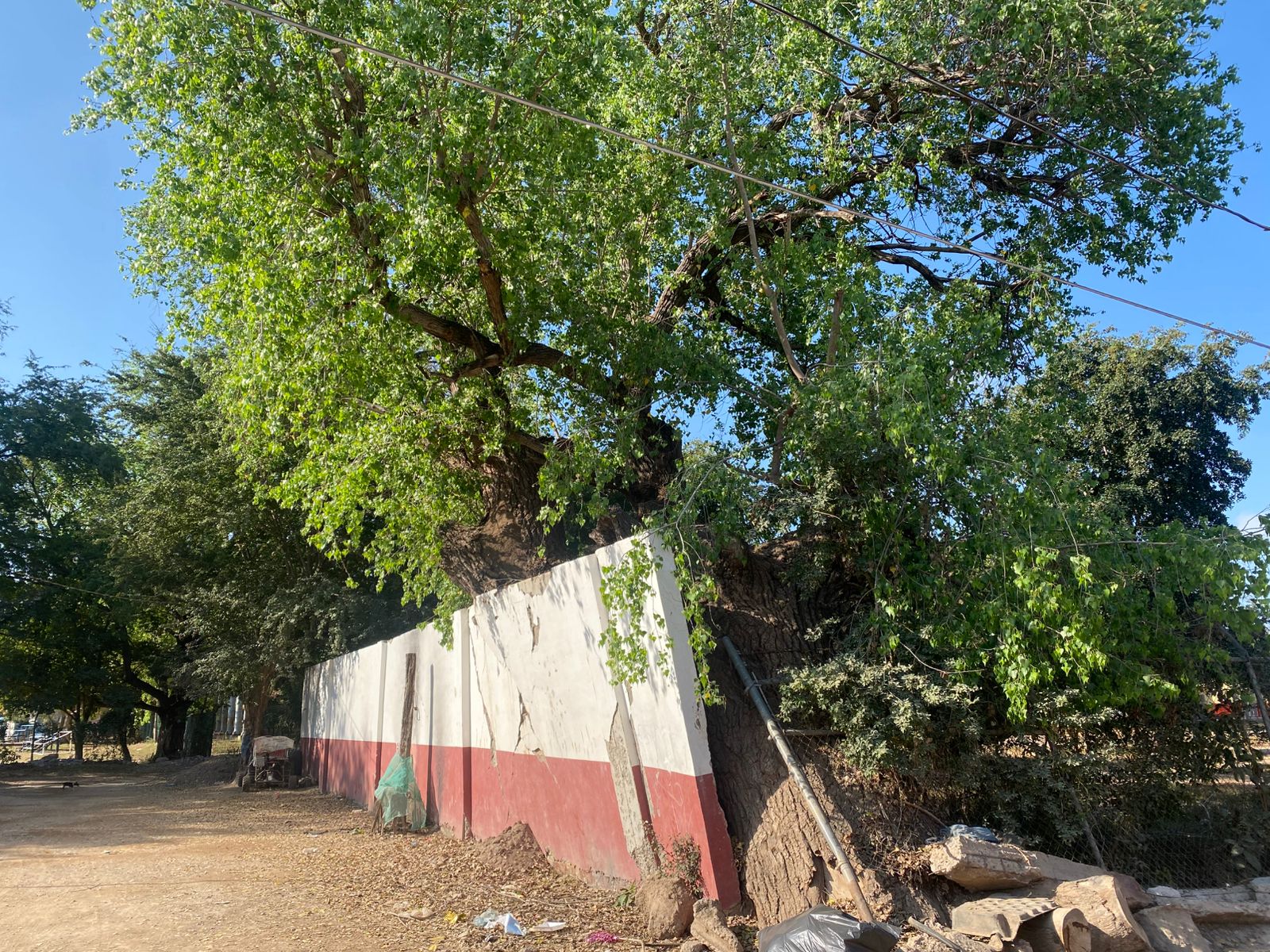 Colapso de barda en escuela primaria