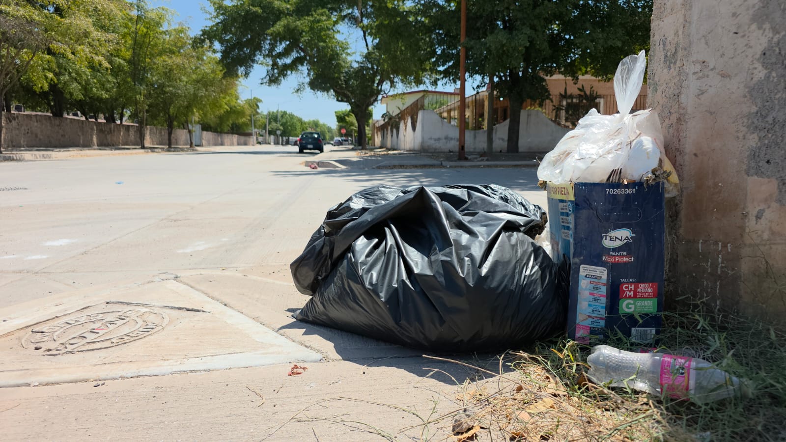 Bolsas de basura