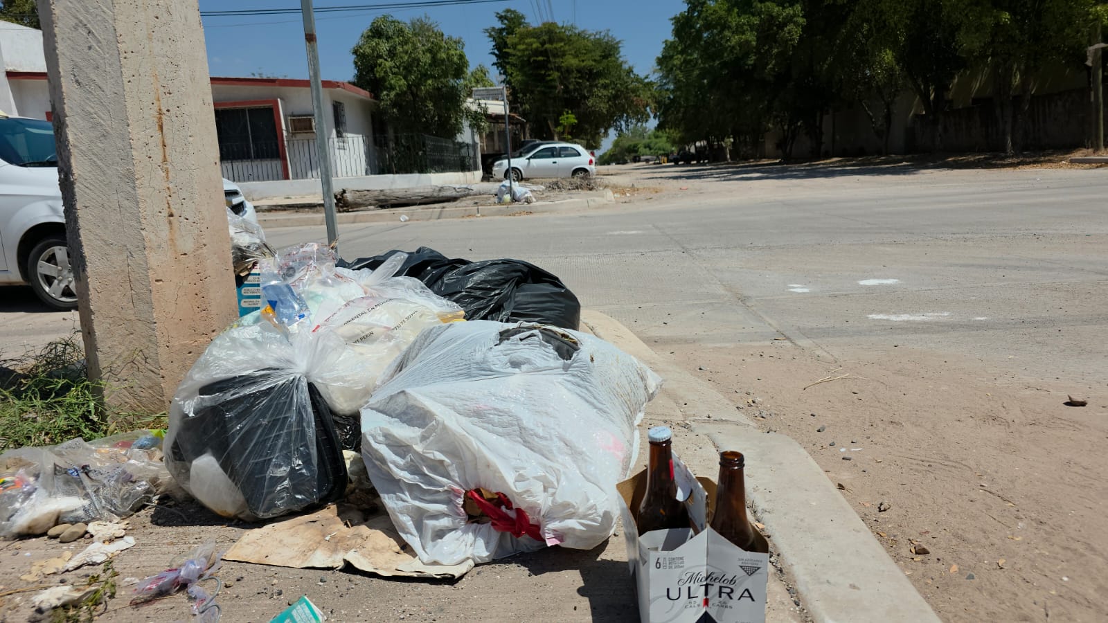 Bolsas de basura