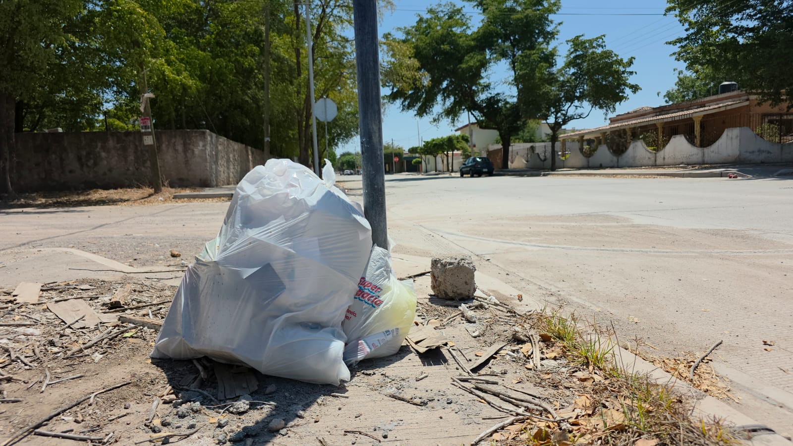 Bolsas de basura