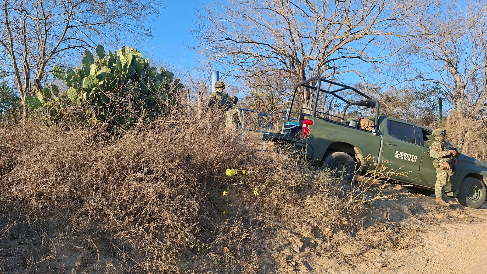 Da positivo nuevo punto de búsqueda en fosa clandestina
