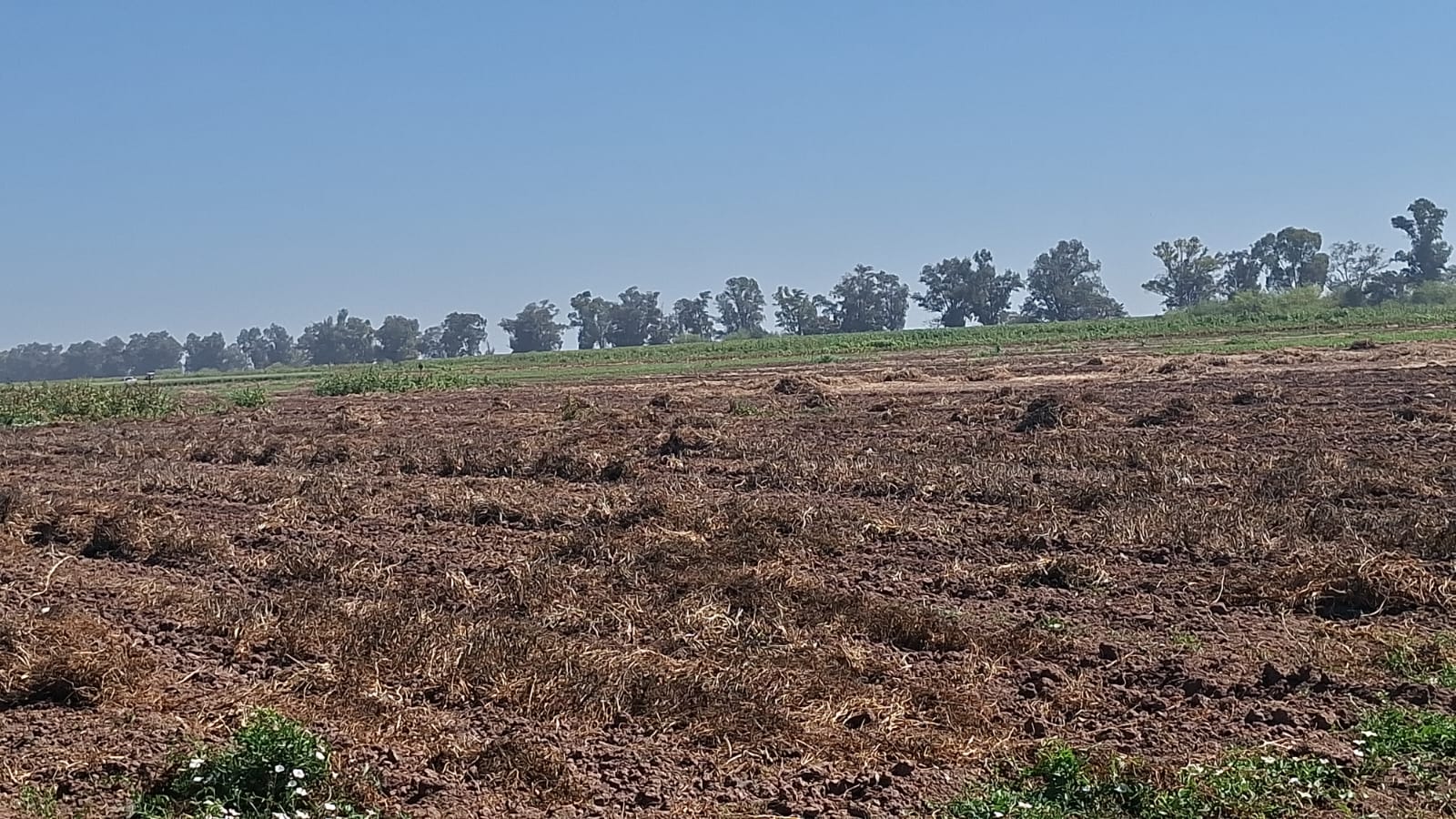 El cambio climático obliga a redoblar esfuerzos en la investigación agrícola