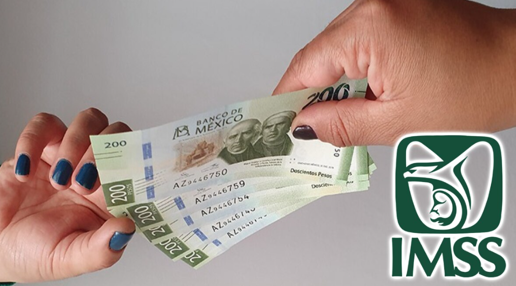 ¿Eres pensionado del IMSS? Así funciona el préstamo que puedes pagar en un año