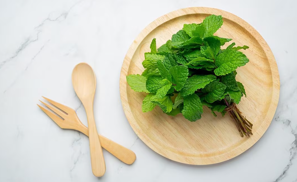 Descubre los beneficios de la menta para la salud y la cocina