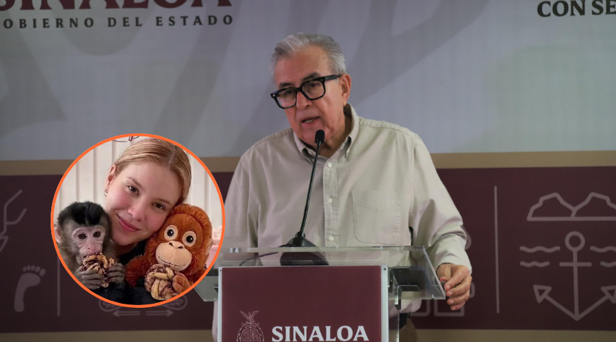 Rocha habla sobre la búsqueda de la creadora de contenido Carmina Castro.