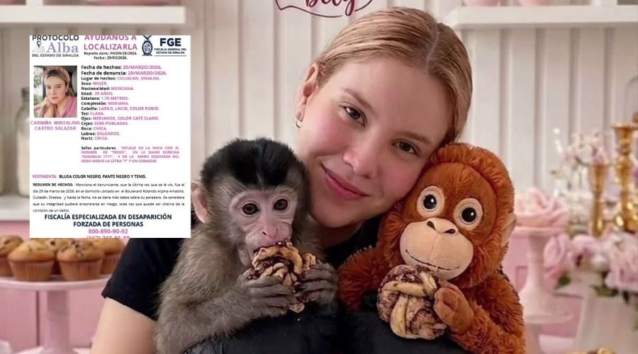 Mujer con dos peluches y en un cuadro una ficha de búsqueda