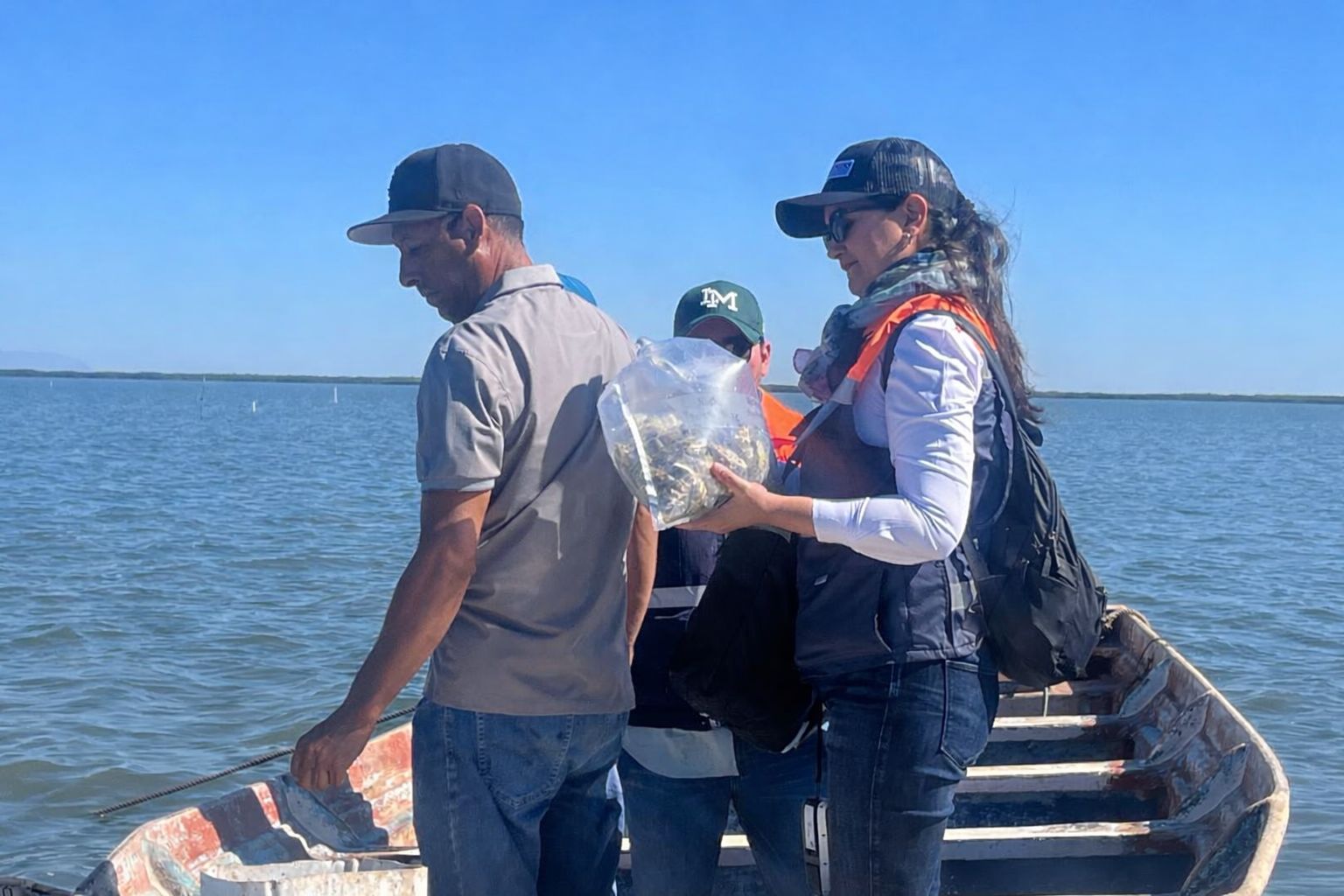 Ya se pueden consumir los moluscos bivaldos en la bahía