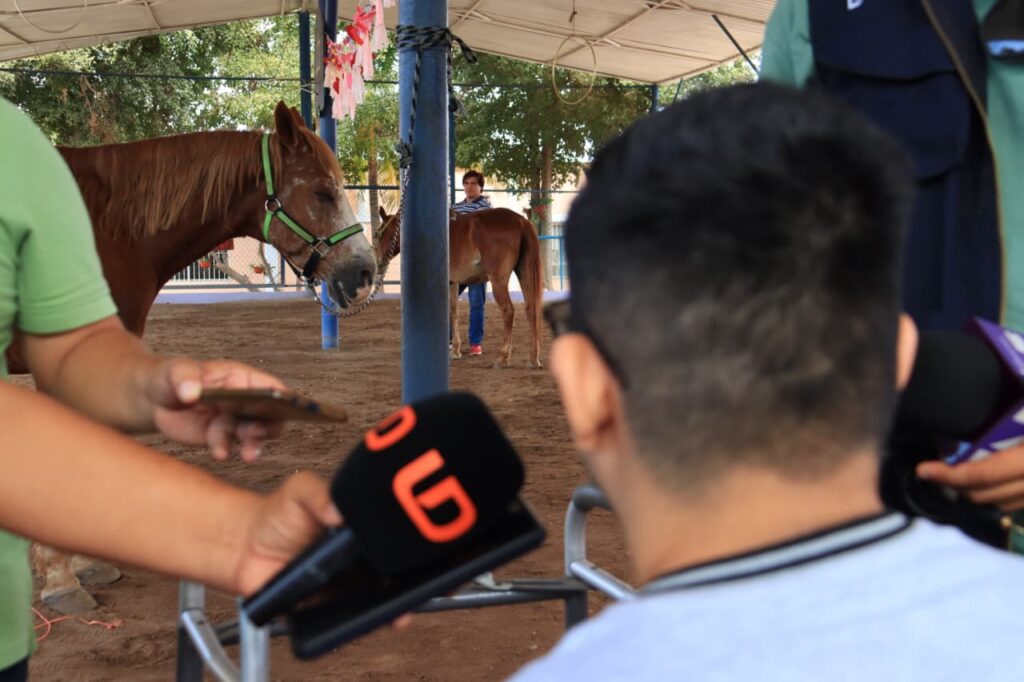 Jesús Antonio, quien recibe equinoterapia en Mazatlán