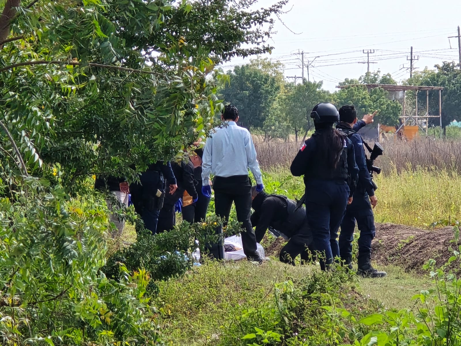 autoridades investigando en lugar abierto con plantas alrededor