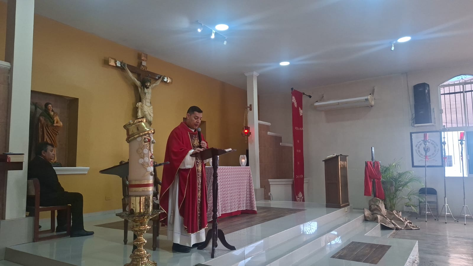 Sacerdote en misa de domingo de ramos