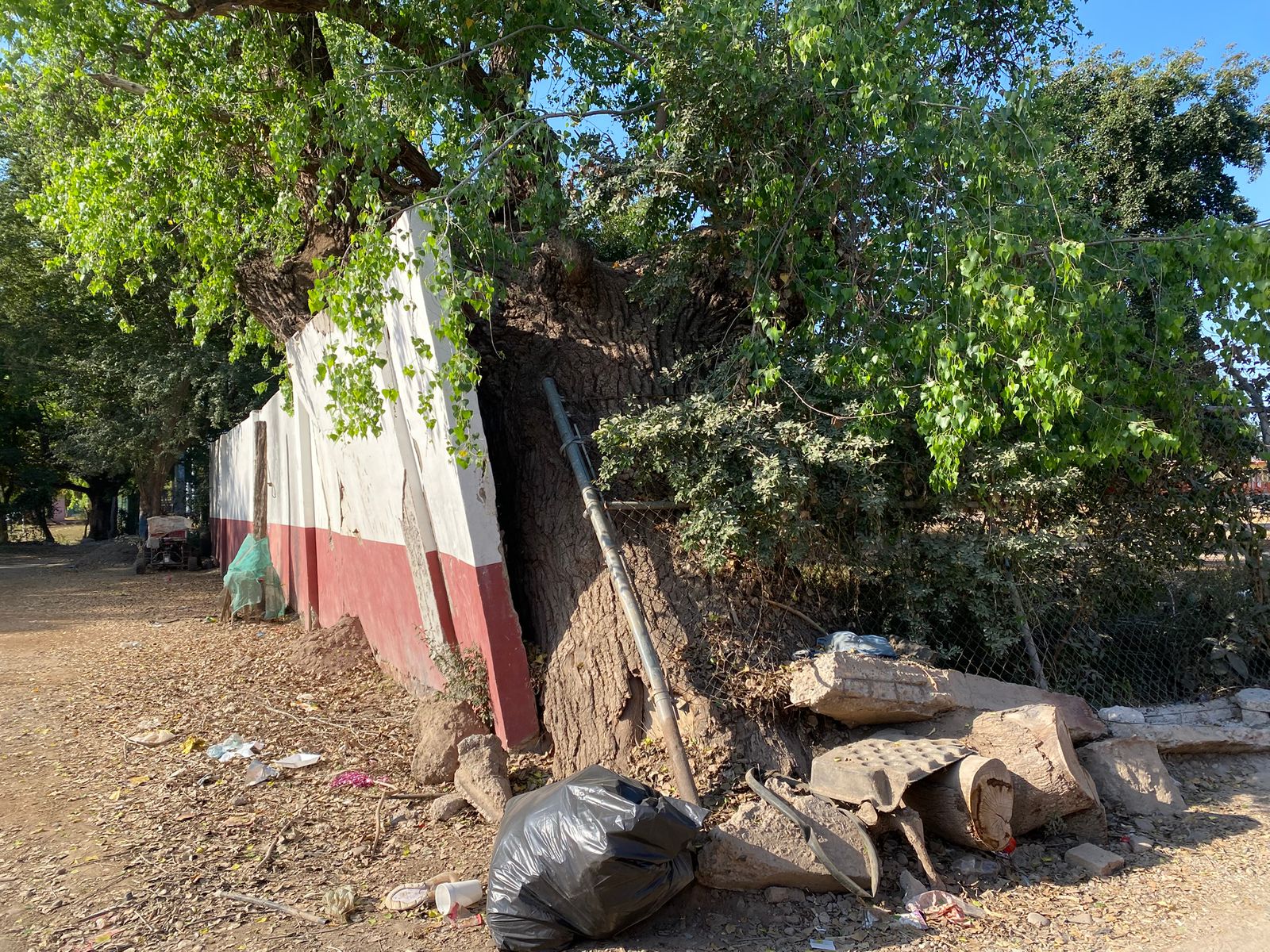 Escuela Primaria Emiliano Zapata