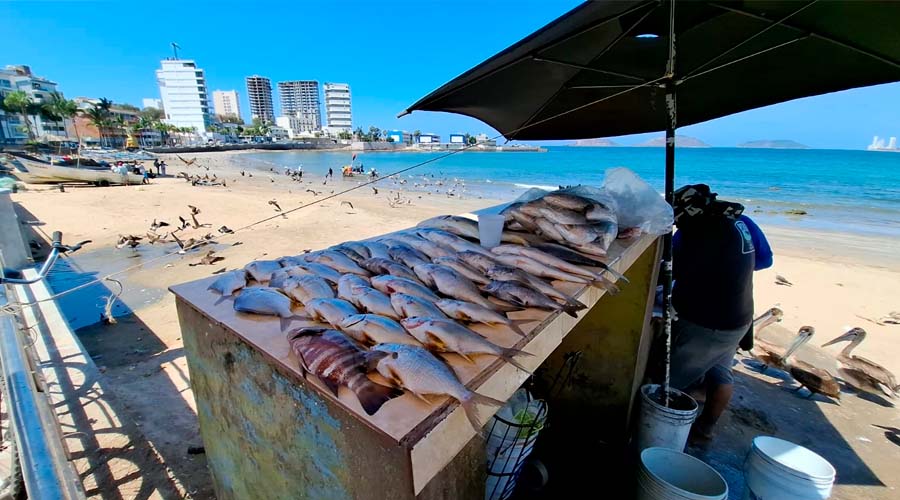 Pescado a la venta en playa Norte, en Mazatlán