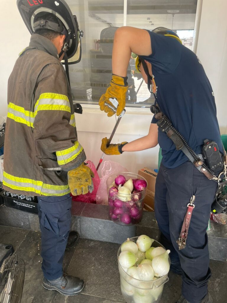 Bomberos extraen víbora de cascabel en Mazatlán