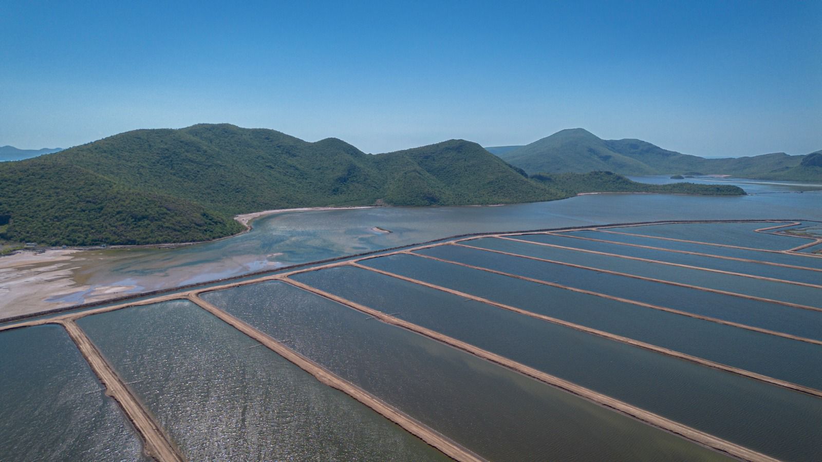 Vista aérea de una granja acuícola