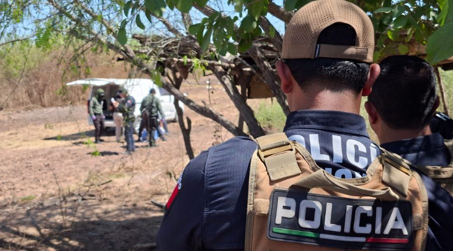 Elementos de seguridad de espaldas y al fondo peritos realizando trabajos de investigación en terreno agrícola