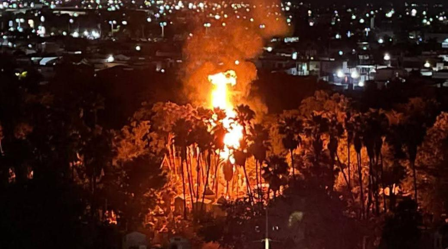 Palmas quemándose en el panteón viejo de Los Mochis