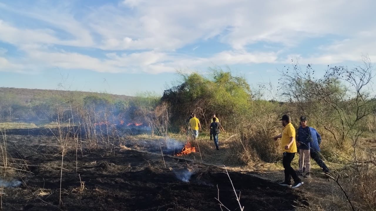 Incendio forestal