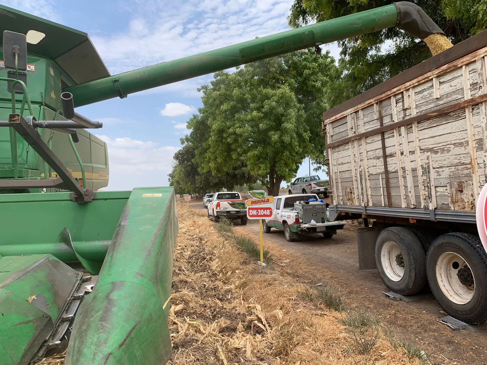 Buscan blindar rentabilidad de productores sinaloenses
